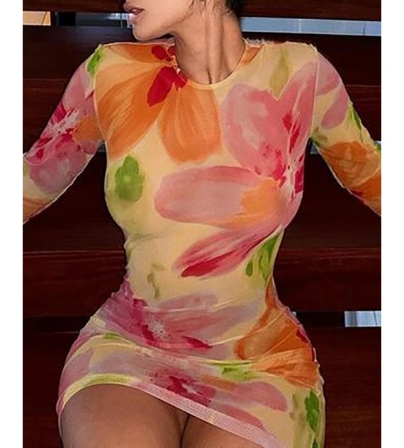 Floral Print Bodycon Long Sleeve Straight Dress
