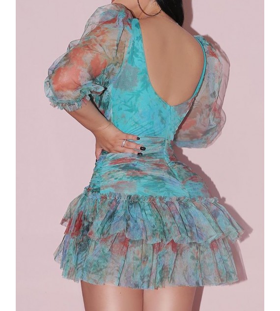 All Over Print Sheer Mesh Puff Sleeve Ruched Dress
