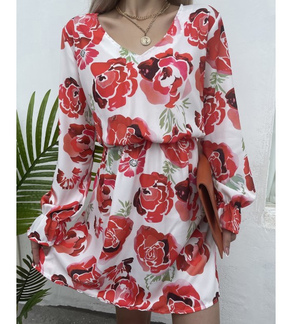 Floral Print Puff Lantern Sleeve V Neck Dress