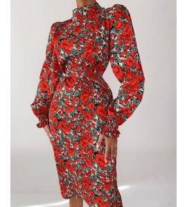 Puff Lantern Sleeve Floral Print Dress