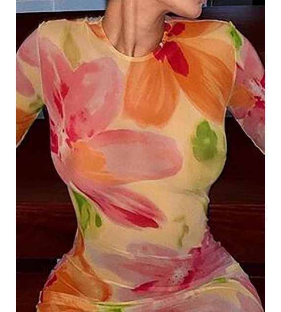 Floral Print Bodycon Long Sleeve Straight Dress