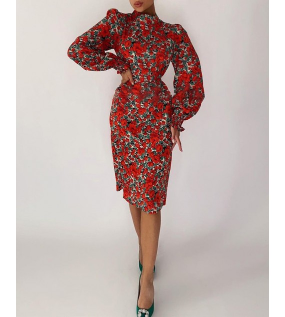 Puff Lantern Sleeve Floral Print Dress