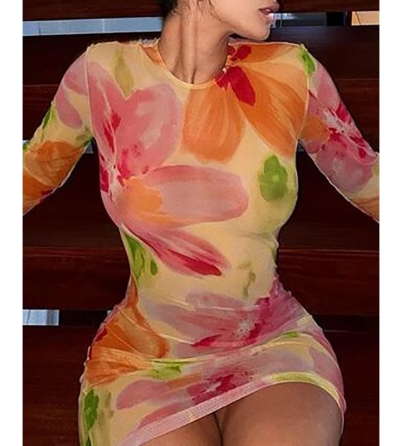 Floral Print Bodycon Long Sleeve Straight Dress